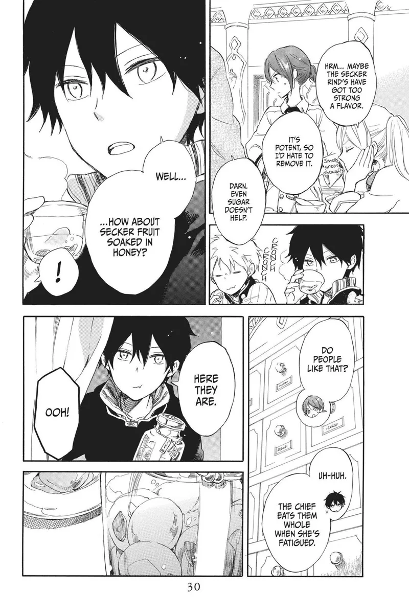 Akagami no Shirayuki-hime Chapter 45 - 30