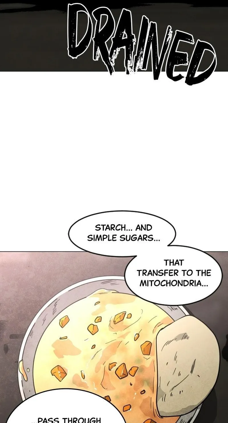 FOG LAND Chapter 30 - 21