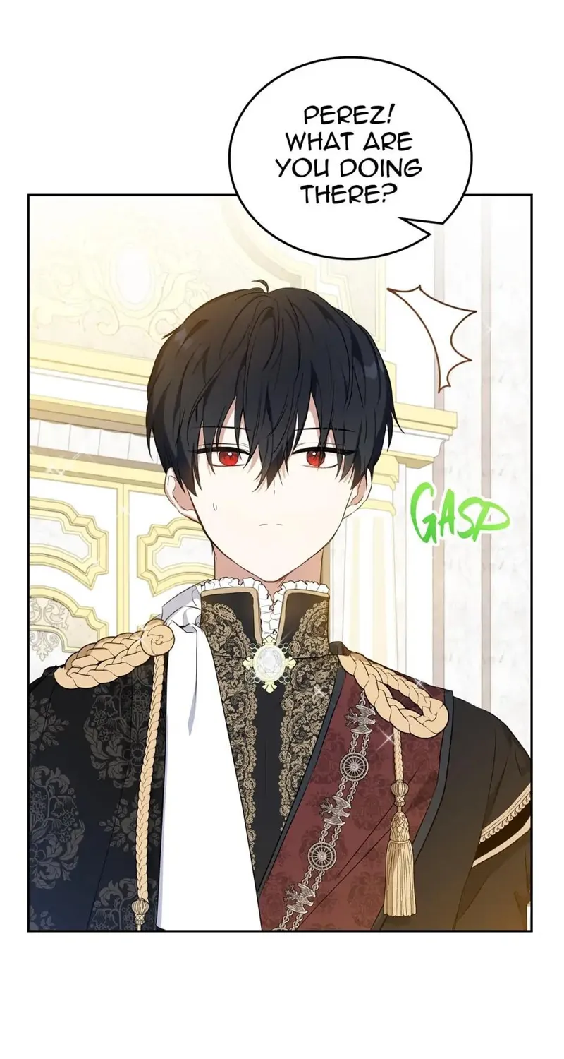 I Shall Master this Family! Chapter 111 - 29