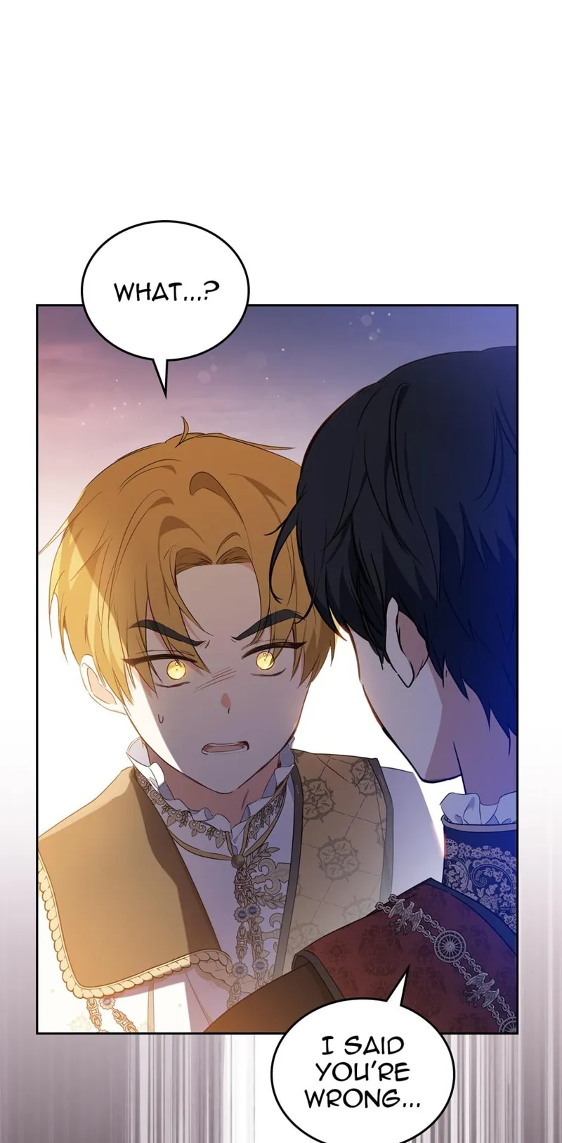 I Shall Master this Family! Chapter 113 - 28