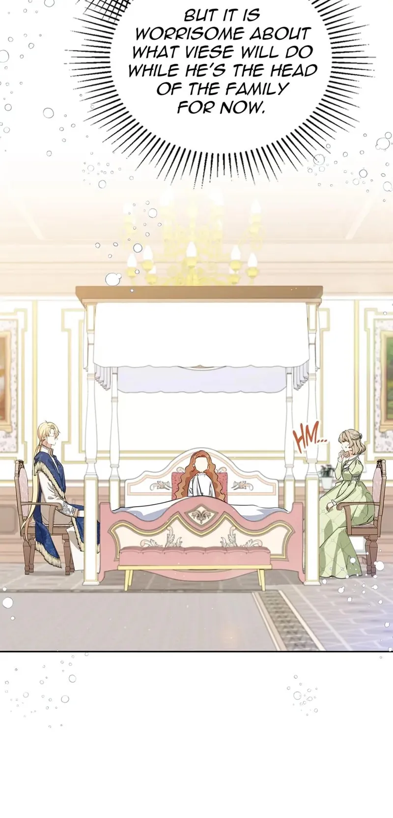 I Shall Master this Family! Chapter 119 - 50