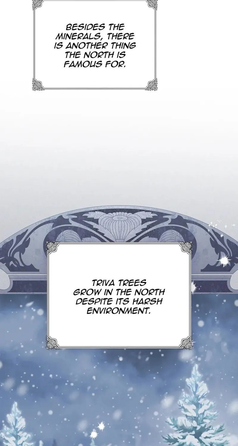 I Shall Master this Family! Chapter 126 - 19