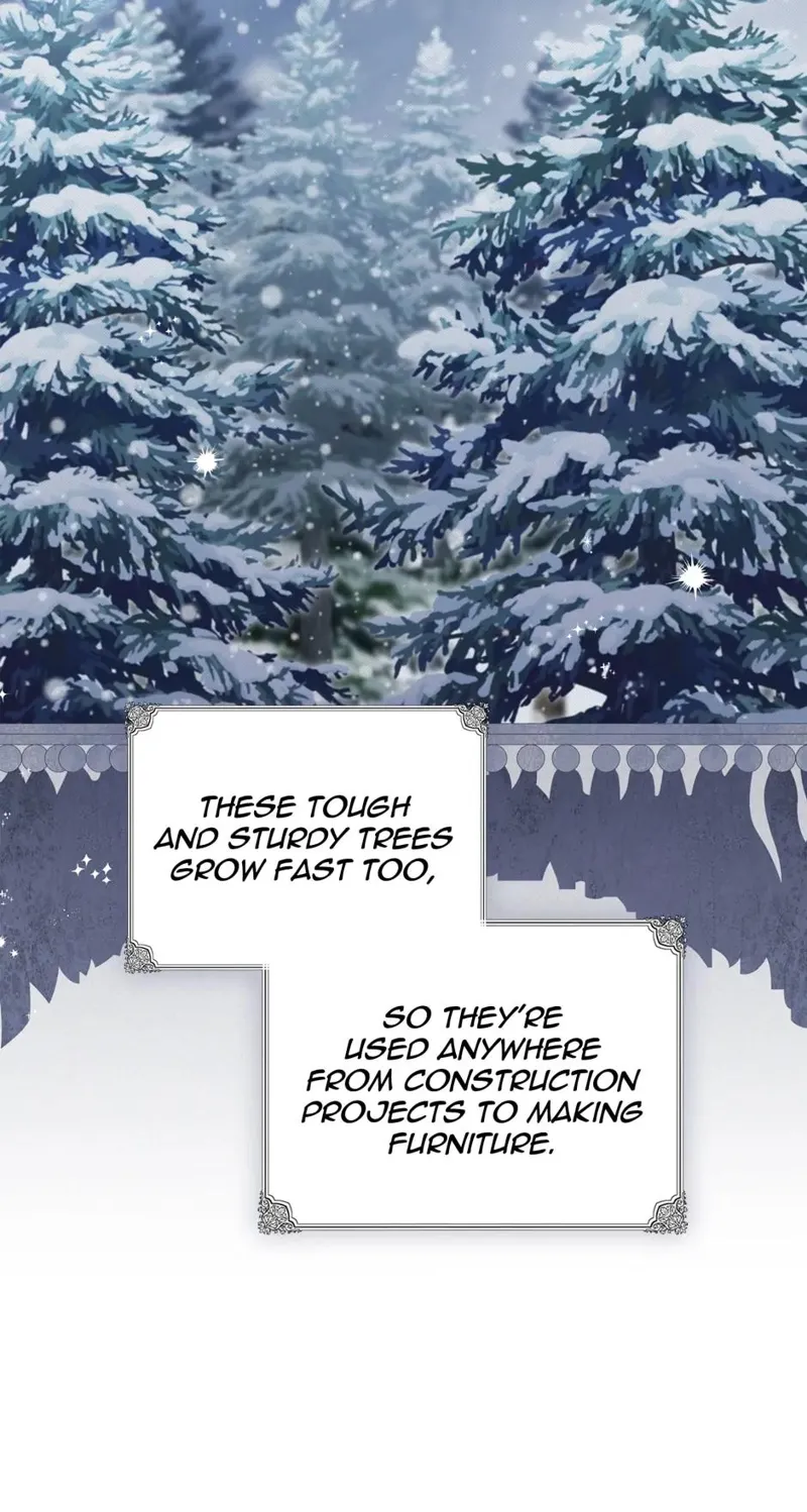 I Shall Master this Family! Chapter 126 - 20