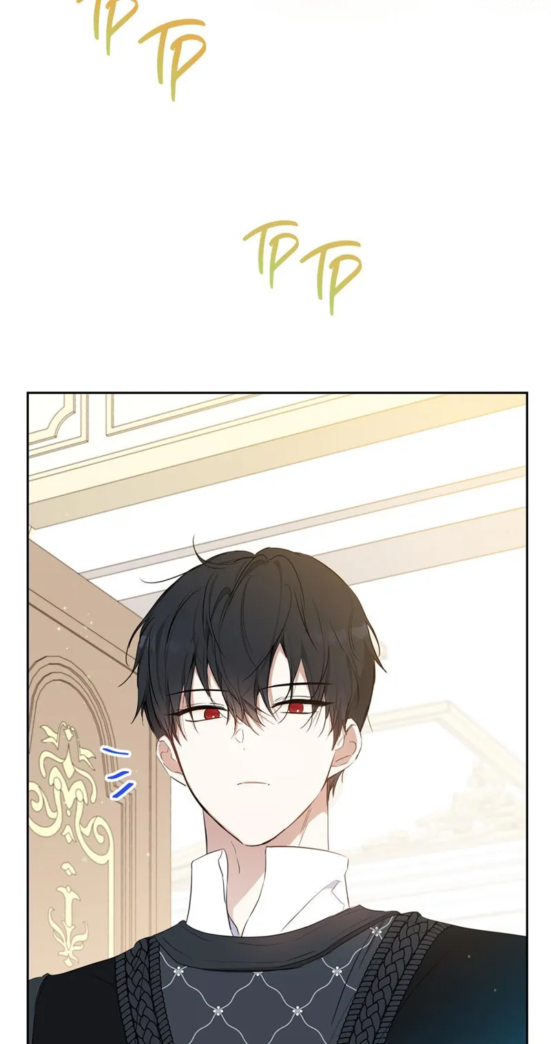 I Shall Master this Family! Chapter 162 - 24