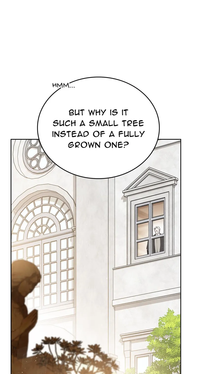 I Shall Master this Family! Chapter 180 - 51