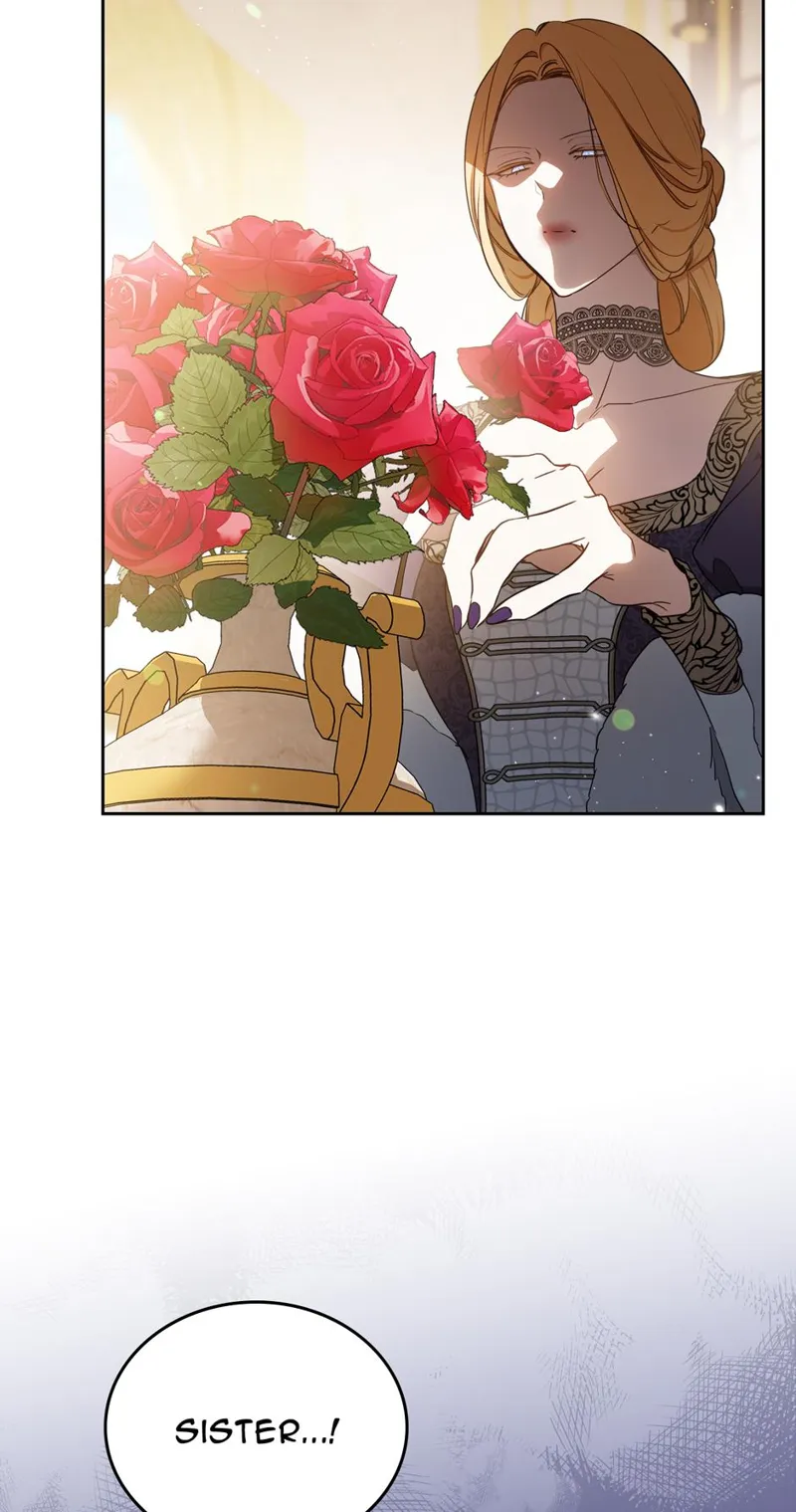 I Shall Master this Family! Chapter 203 - 29