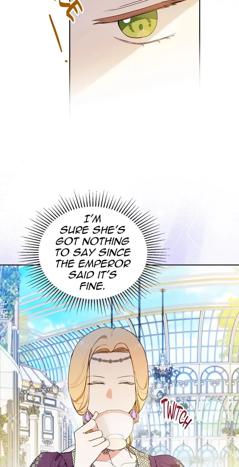 I Shall Master this Family! Chapter 87 - 74