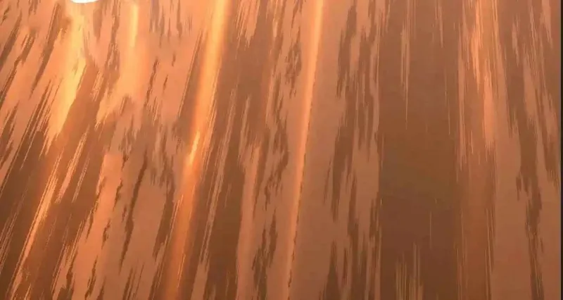 Logging into the Future Chapter 329 - 30