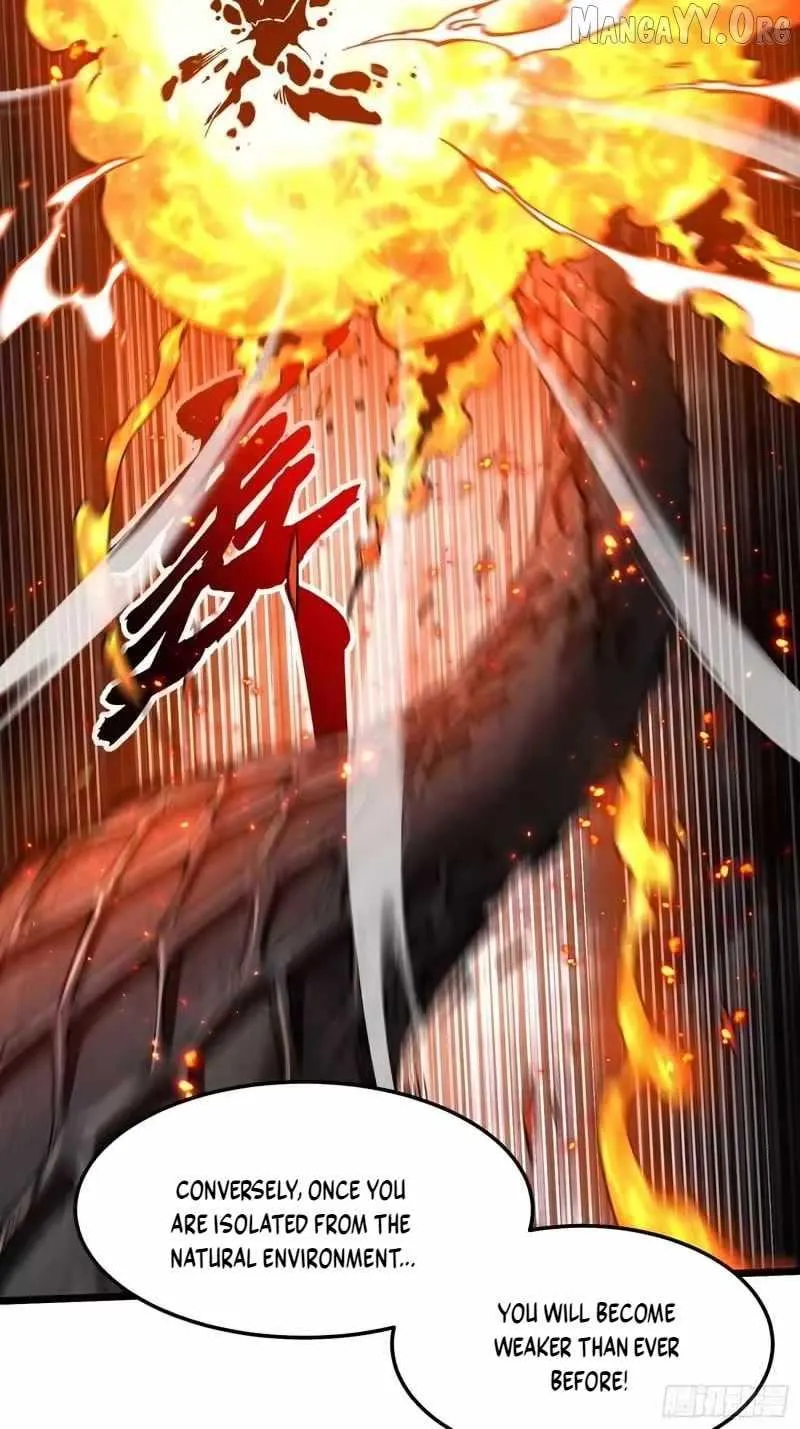 Martial Evolution: Start by Awakening the King of Monsters Chapter 119 - 5